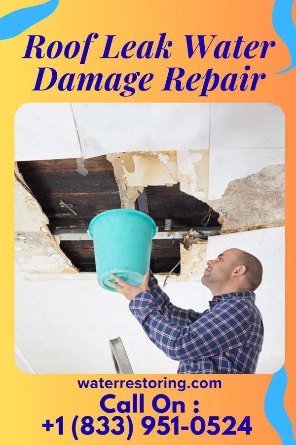 Roof Leak Water Damage Repair in Seabrook Farms, NJ