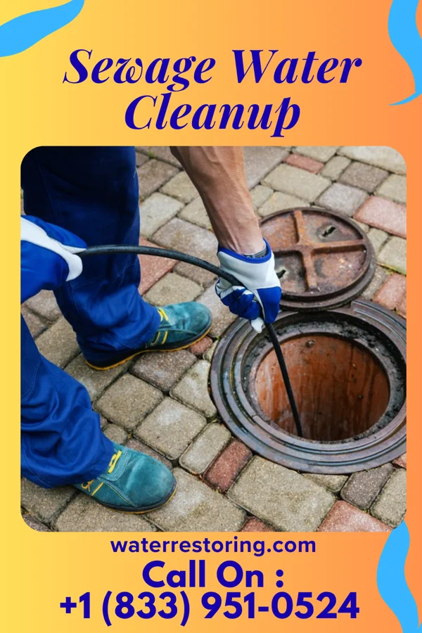 Sewage Water Cleanup in Seabrook Farms, NJ